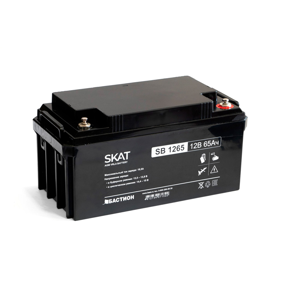 Аккумулятор свинцово-кислотный Бастион SKAT SB 1265 AGM 12 В 65 Ач 2541