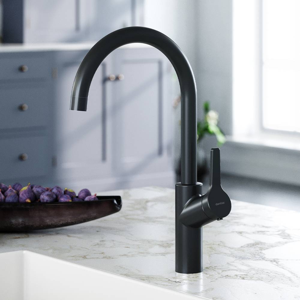 Смеситель для кухни AM.PM Eclipse матовый черный 310720300