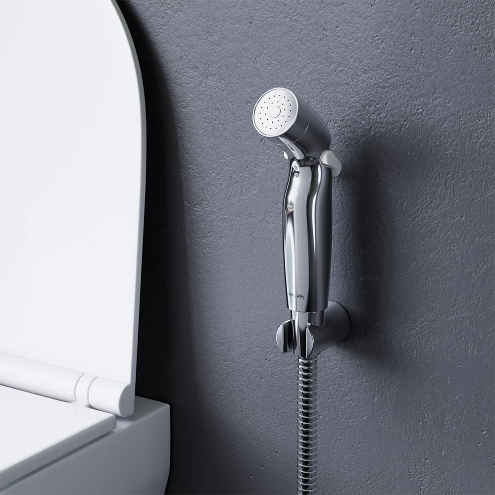 Гигиеническая лейка с держателем AM.PM Like сталь матовая F0201932