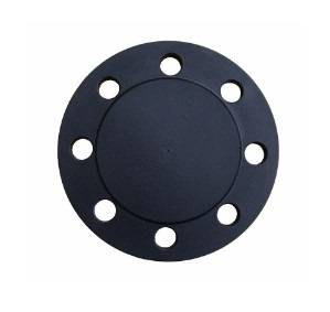 Фланец глухой Watts DN 80 с 4 винтами и прокладкой EPDM T699022