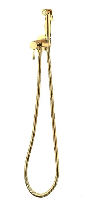 Смеситель для биде Reitano Retro скрытый монтаж с гигиеническим душем Gold 55STFBSRGO