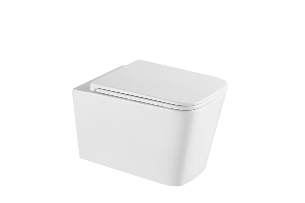 Унитаз подвесной Aquame AQM2015PRO с сиденьем SoftClose 530х365 мм AQM2015PRO