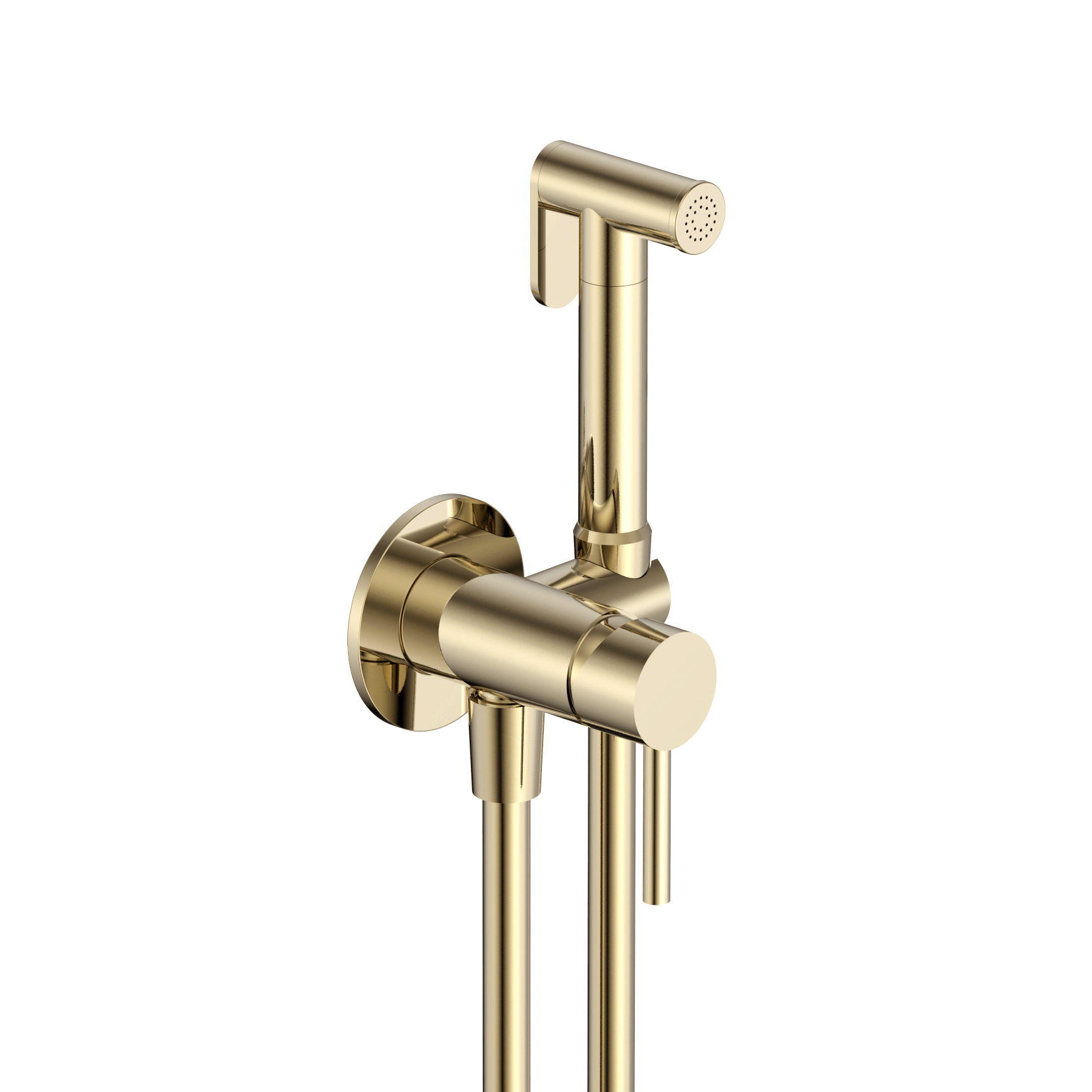 Комплект гигиенического душа AQUAMERIT Siena скрытый монтаж золото шлифованное AQM6217BG