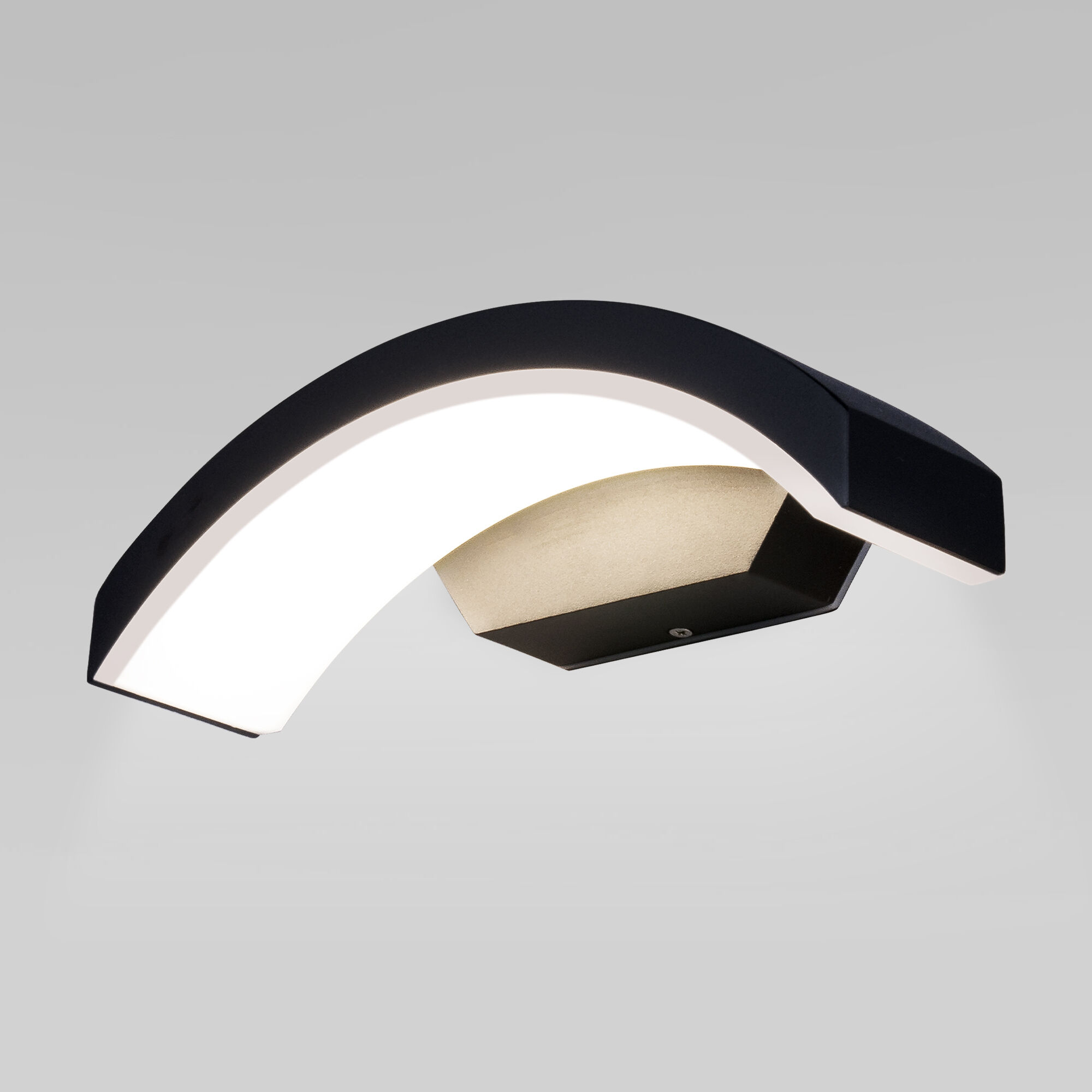 Пылевлагозащиltwbrgtщенный настенный светодиодный светильник Asteria D IP54 1671 Techno LED черный